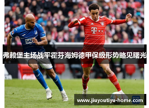 弗赖堡主场战平霍芬海姆德甲保级形势略见曙光