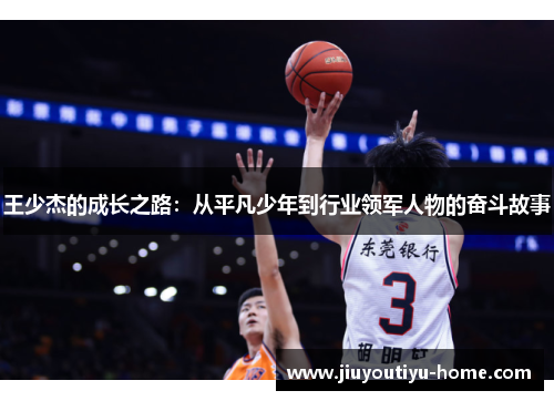 王少杰的成长之路：从平凡少年到行业领军人物的奋斗故事